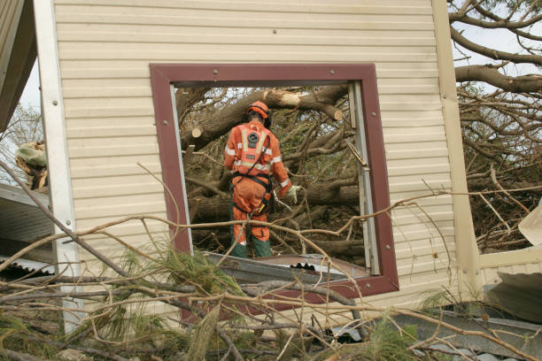 Professional Tree Services in Chebanse, IL